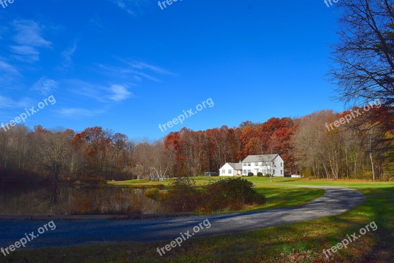 Autumn Sunrise Colorful Trees Lawn