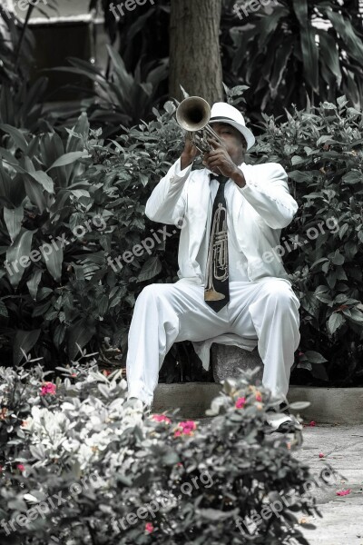 Cuba Havana Trumpeter Cuban Joy