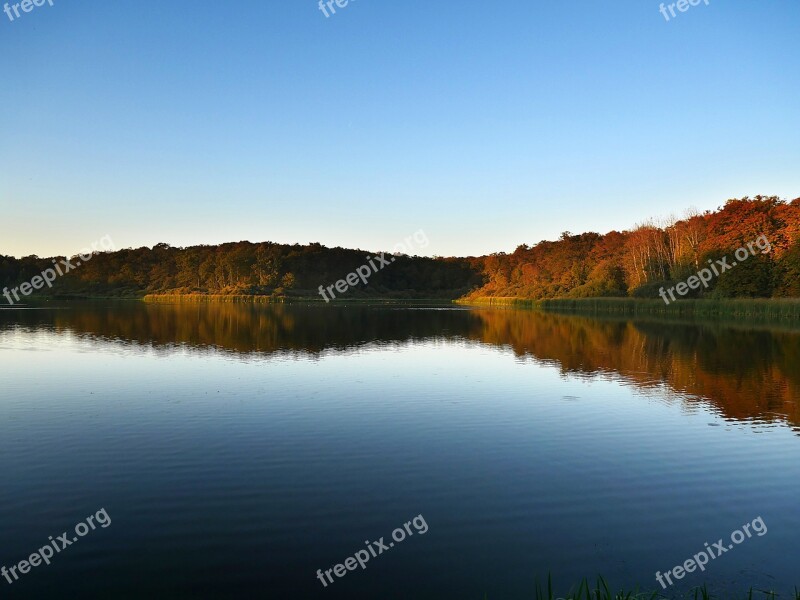 Pond Forest Nature Water Landscape