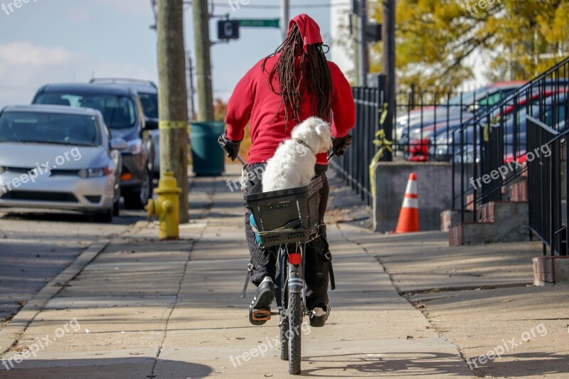 Bike Man Dog Lifestyle Transportation