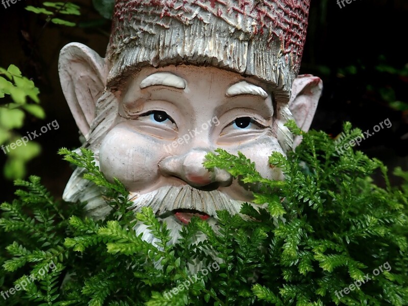 Gnome Ferns Garden Statue Free Photos