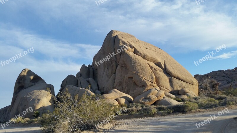 Joshua Tree National Park Desert Rocks Park Free Photos