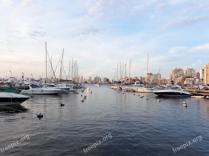 Punta Del Este Uruguay Beach Free Photos