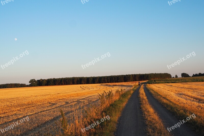 Dirt Road Corn Village Harvest Free Photos