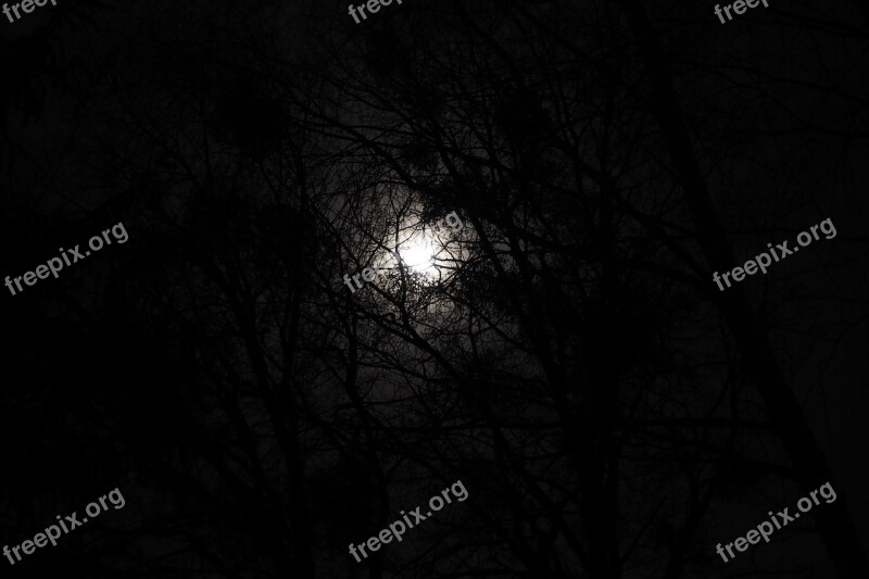 The Fullness Of Night North Moon Free Photos