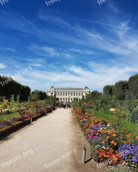 Paris Museum Of Natural History Flowers Garden Jardin Des Plantes