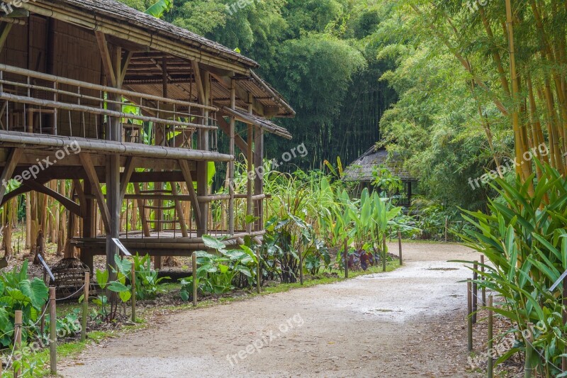 Travel Tourism Village Asia Meditation