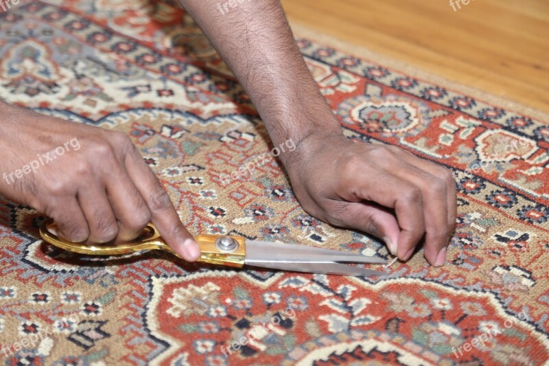 Cutting Fine Tuning Carpet Cleaning Free Photos