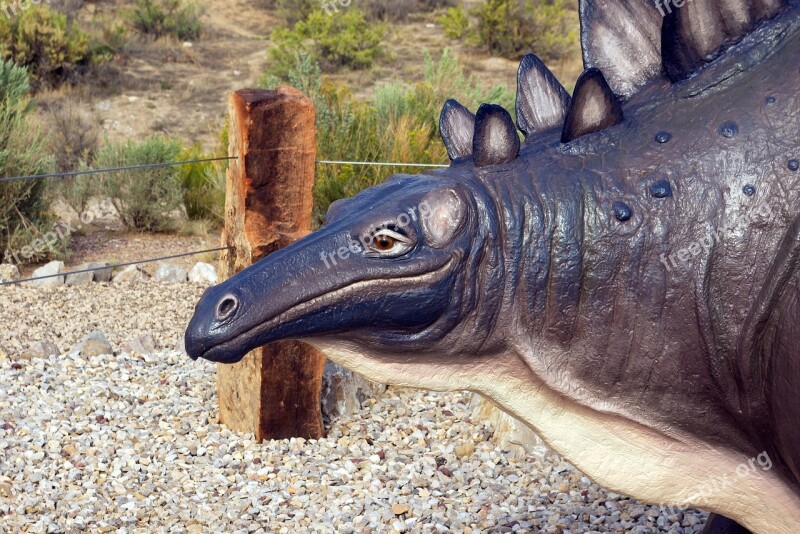 Stegosaurus Model Stegosaurus Statue Dinosaur National