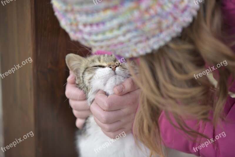 Cat Little Girl Animals Free Photos