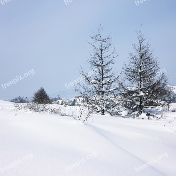 Snow Narrative Whiteness Pure White Landscape