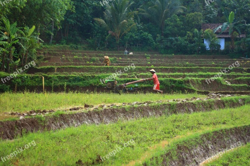 Farmer Human Agriculture People Asia