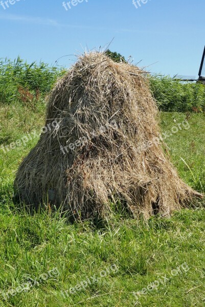 Hay Hope Drying Agriculture Farm