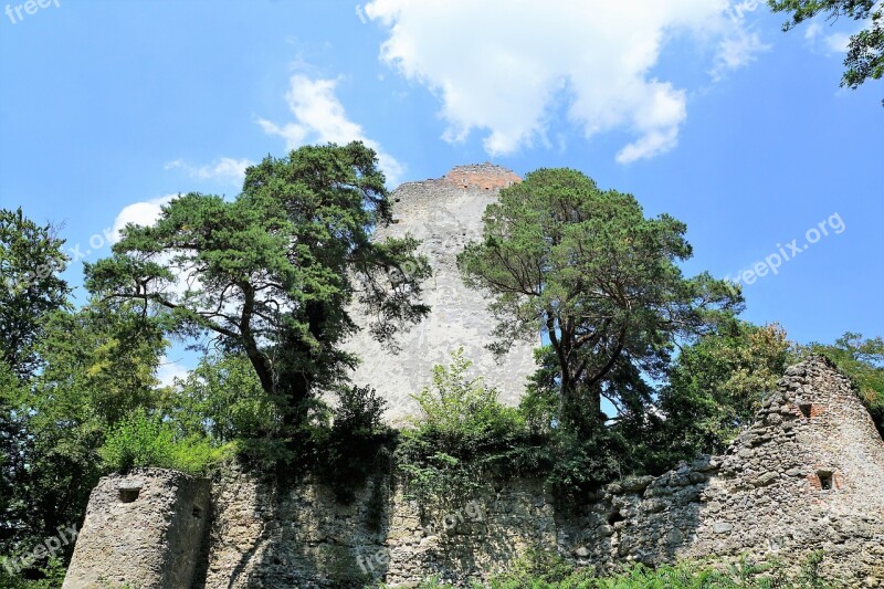 Ruin Bodman Nature Castle Lake Constance