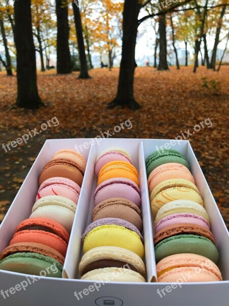 Macaroons Colors Vanilla Free Photos