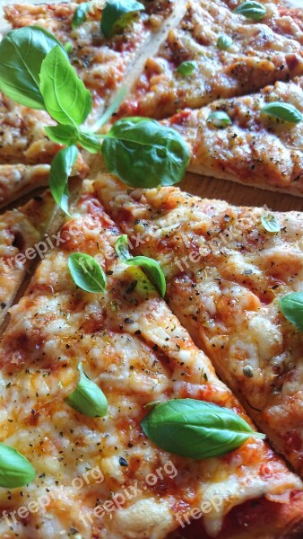 Pizza Eat Delicious Basil Bake