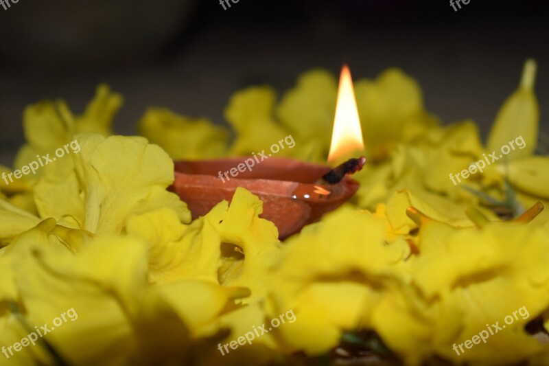 Diya Fire Diwali Yellow Flower