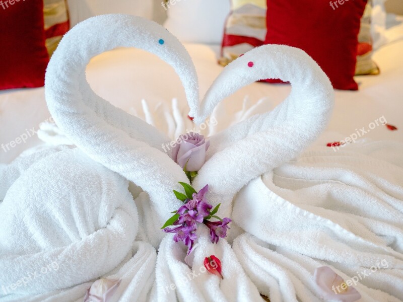 Towels Swans Cruise Hotel Bed