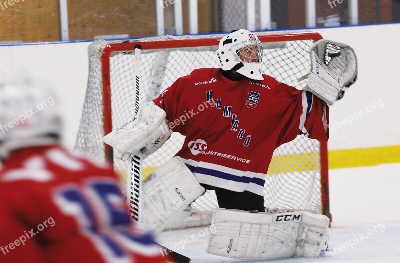 Hockey Goalkeeper Rödtröja Free Photos