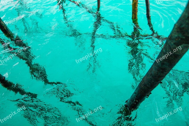 Water Transparency Turquoise The Shallow Sea Pile