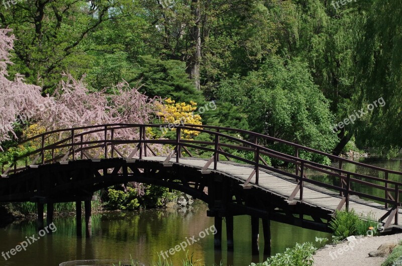 The Wooden Bridge Garden Water Spring Green