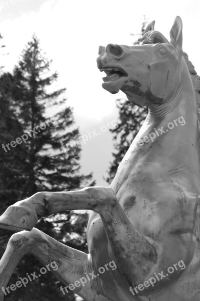 Horse Statue Ireland Powers Court Free Photos