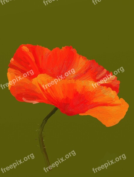 Poppy Flower Virtual Red Poppy Poppy Flower