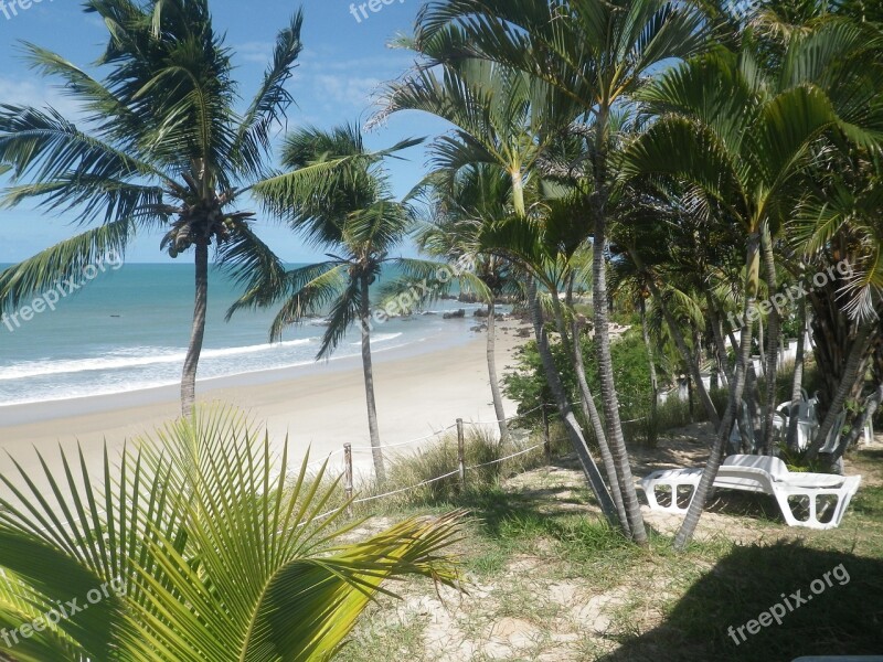 Beach Sunny Day Natal Free Photos