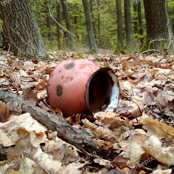 Forest Trash Ecology Pot Environment