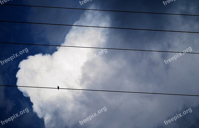 Sky A Surname Artistic Conception Free Photos