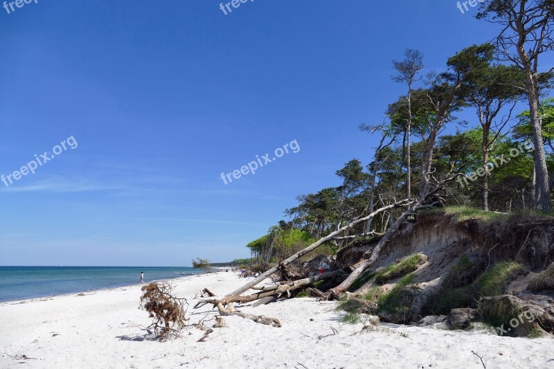 Baltic Sea West Beach Fischland-darß National Park Free Photos