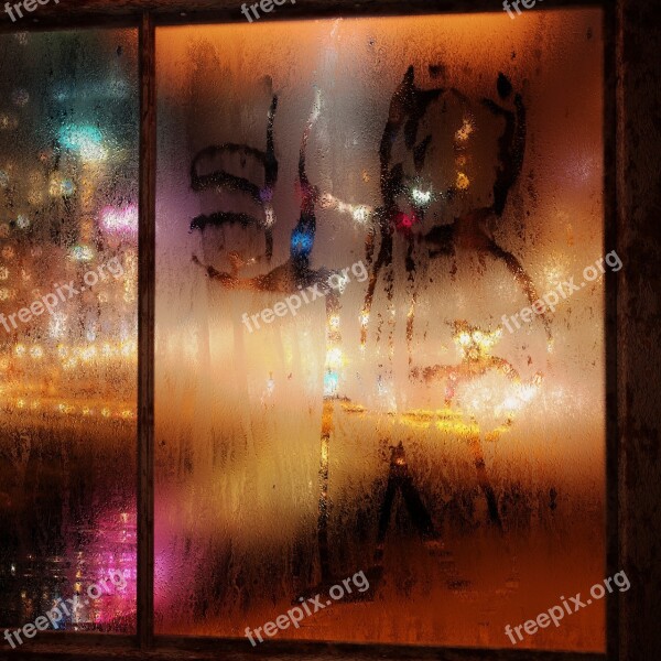 Misted Glass Night City Like Free Photos