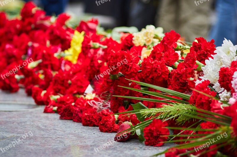 Victory Day Flowers Memory Carnation May 9