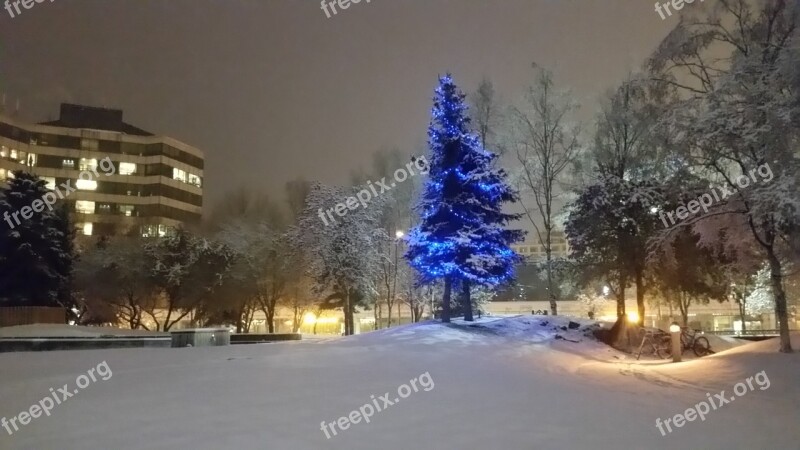 Anchorage Tree Christmas Town Square Individual