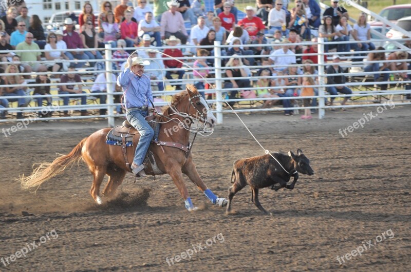 Horse Rodeo Cowboy Western Animal