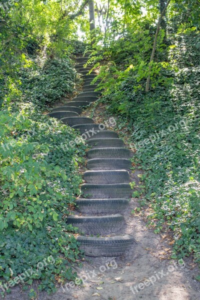 Stairs Mature Steep Forest Nature