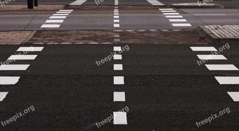 Road Crossing Safety Car Asphalt