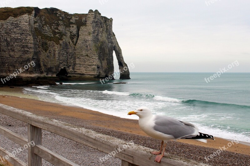 Etretat France Rock White Cliffs Normandy