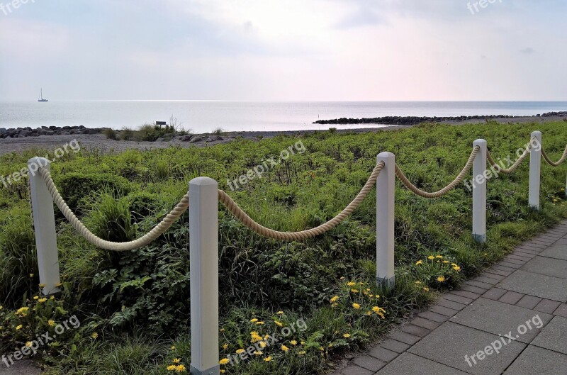 Baltic Sea Strandweg Sea View Cable Barrier Wild Rose Growth