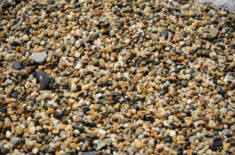 The Stones Pebbly Beach The Background Seashore The Coast