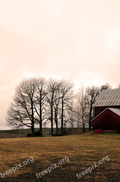 Internal Ultervattnet Tree Morning Barn Nature