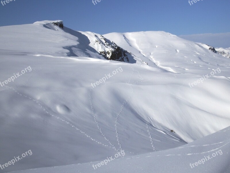 Mountains Plateau Tracks Winter Snow