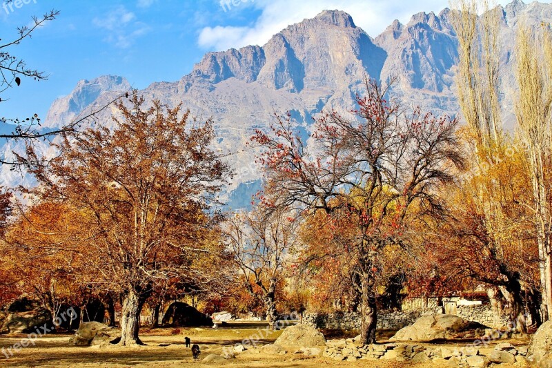 Mountains Pakistan Skardu Tree Sky