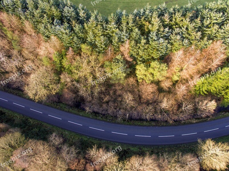 Road Ariel Tree Autumn Landscape