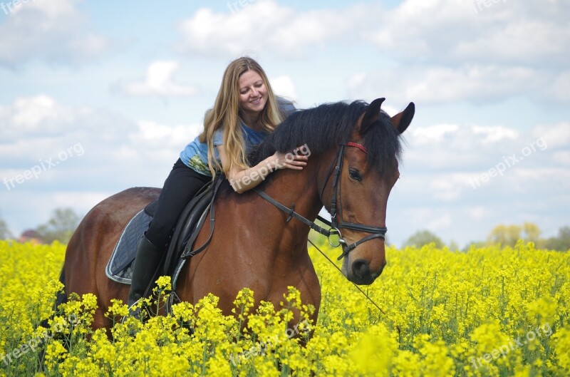 Ride Horse Brown Equestrian Women's Power