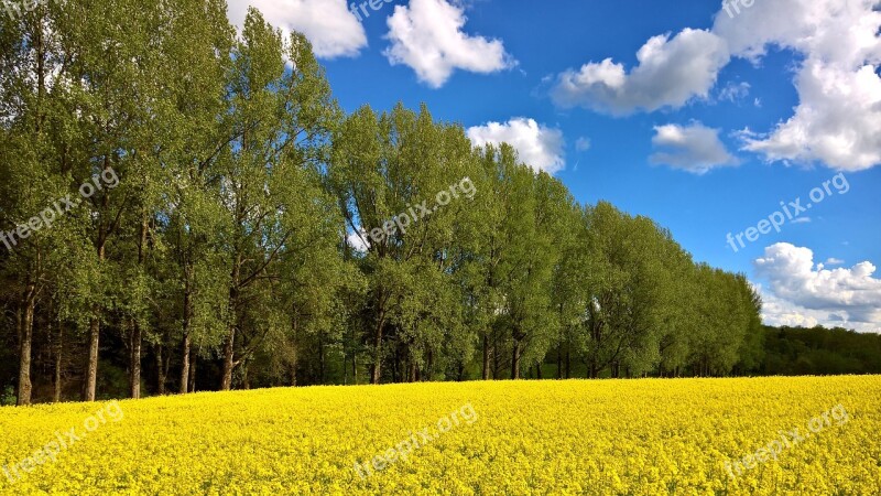 Spring Westerwald Field Nature Landscape