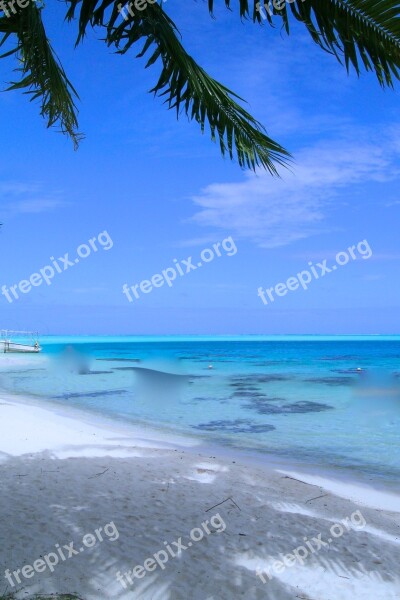 Landscape Paradise Beach Gran Paradiso Holiday