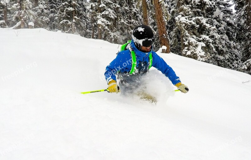 Skiing Powder Deep Snow Winter Free Photos