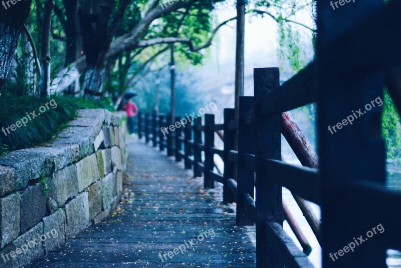 Flower Spring The Scenery Wuzhen Free Photos