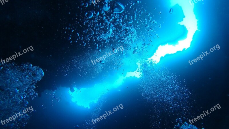 Sea The Red Sea Diving Free Photos